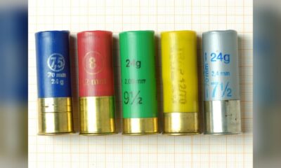 Cartouches de tir sportif calibre 12 chargees en grenaille de plomb numeros 7,5 a 9,5