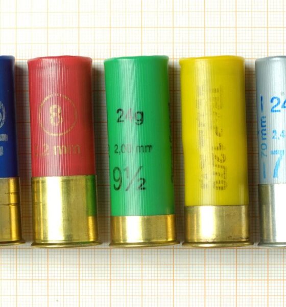 Cartouches de tir sportif calibre 12 chargees en grenaille de plomb numeros 7,5 a 9,5