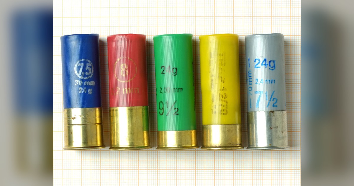 Cartouches de tir sportif calibre 12 chargees en grenaille de plomb numeros 7,5 a 9,5